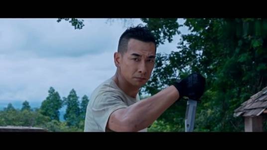陆子明（赵文卓导演电影《反击》男主角）
