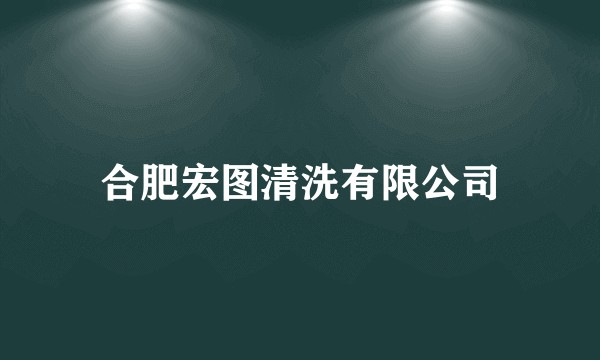 合肥宏图清洗有限公司