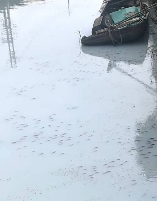 6·7瑞安河道水体出现异常事件