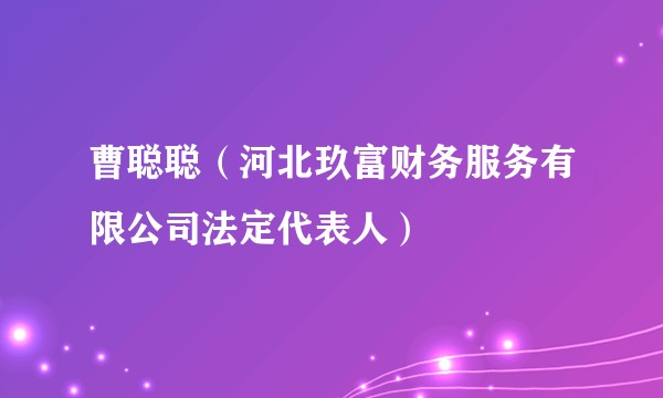 曹聪聪（河北玖富财务服务有限公司法定代表人）