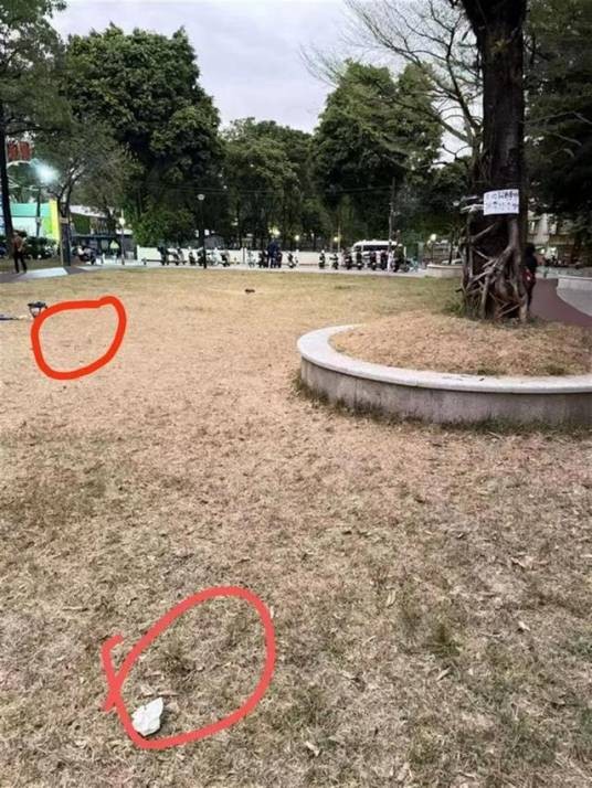11·8广州宠物狗死亡事件