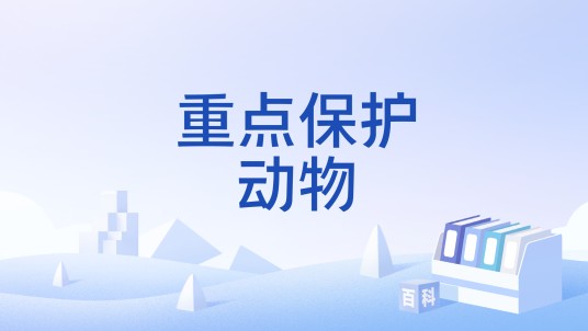 重点保护动物