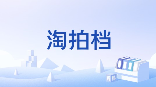淘拍档
