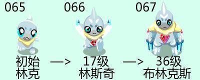林斯奇