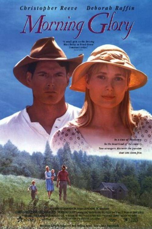 早间主播（1993年Steven Hilliard Stern执导的电影）