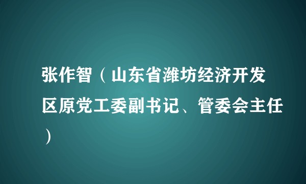 张作智(山东省潍坊经济开发区原党工委副书记、管委会主任)