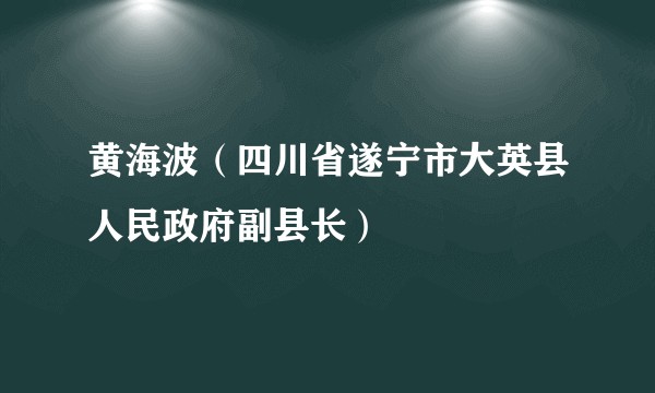 黄海波（四川省遂宁市大英县人民政府副县长）