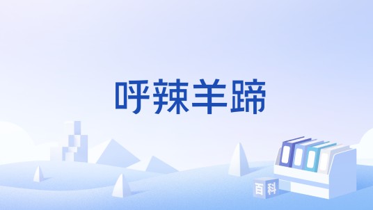 呼辣羊蹄