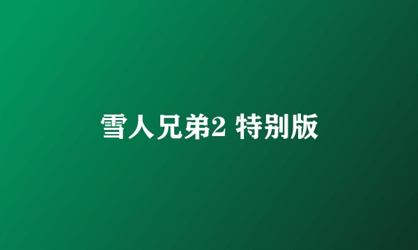 雪人兄弟2 特别版