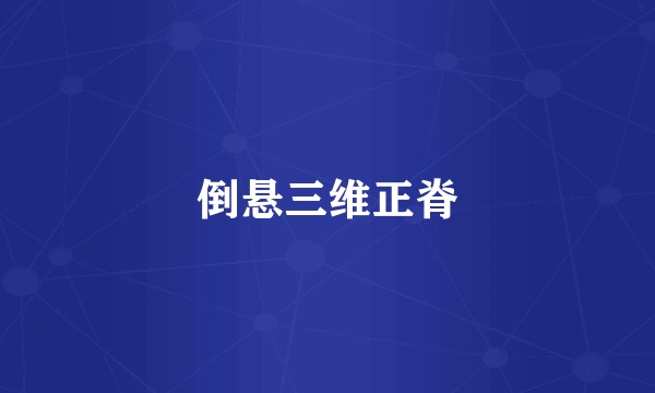 倒悬三维正脊