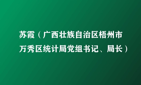 苏霞（广西壮族自治区梧州市万秀区统计局党组书记、局长）