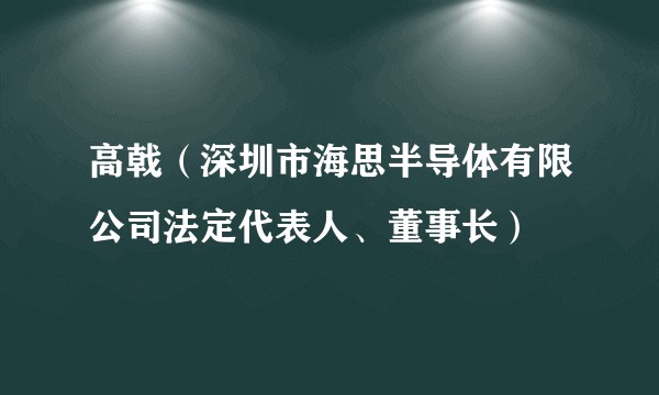 高戟（深圳市海思半导体有限公司法定代表人、董事长）