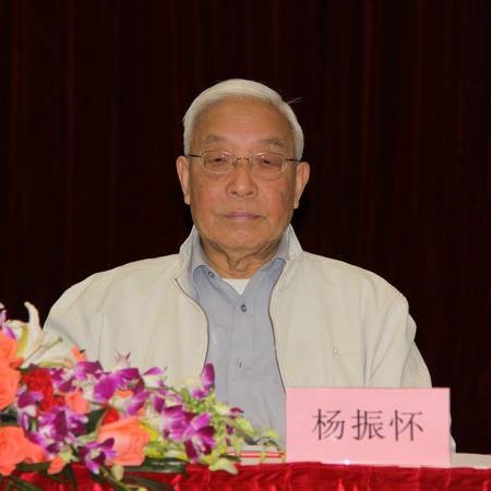 杨振怀