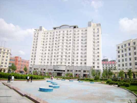黑龙江大学国际文化教育学院