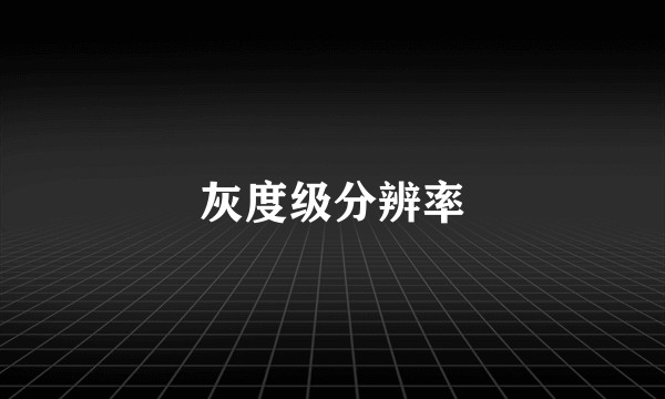 灰度级分辨率