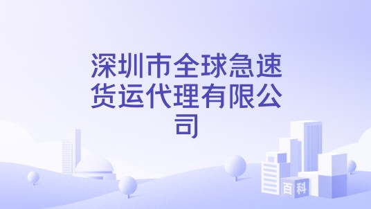 深圳市全球急速货运代理有限公司