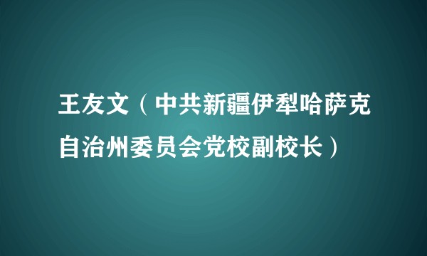 王友文（中共新疆伊犁哈萨克自治州委员会党校副校长）