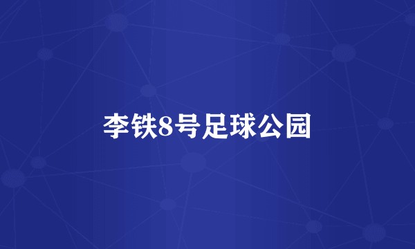 李铁8号足球公园