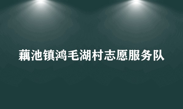 藕池镇鸿毛湖村志愿服务队