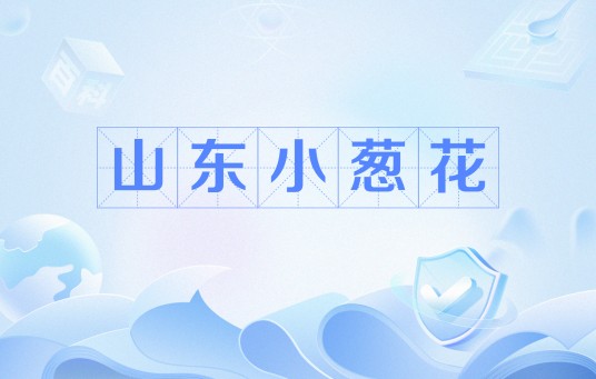 山东小葱花