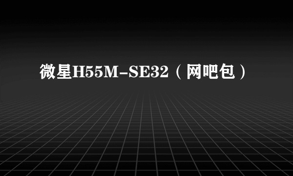 微星H55M-SE32（网吧包）
