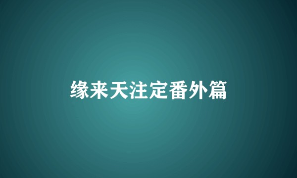 缘来天注定番外篇