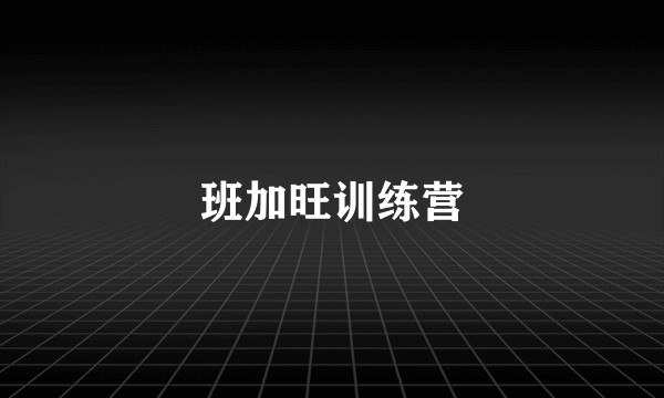 班加旺训练营