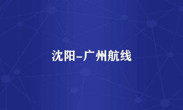 沈阳-广州航线