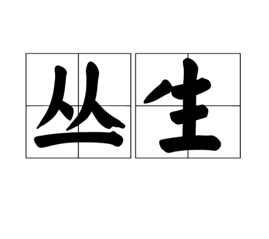 丛生（汉语词语）