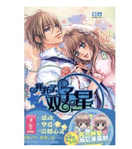 拜托了，双子星（2008年万卷出版公司出版的图书）