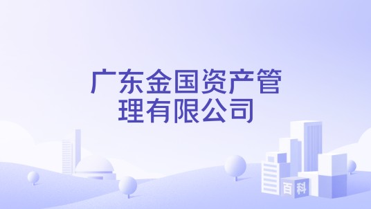广东金国资产管理有限公司