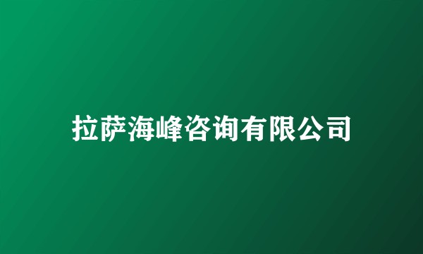 拉萨海峰咨询有限公司