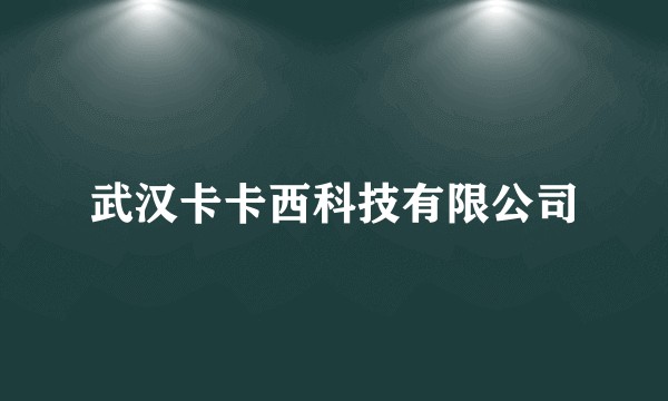 武汉卡卡西科技有限公司