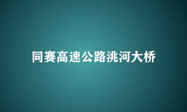 同赛高速公路洮河大桥