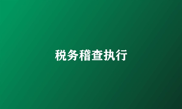 税务稽查执行