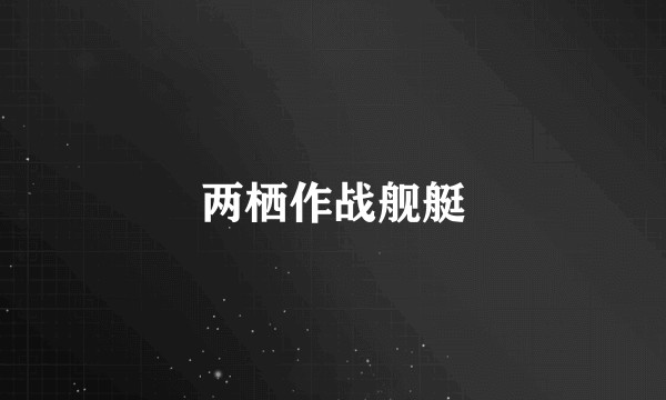 两栖作战舰艇