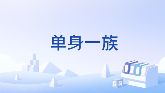 单身一族（单身未婚人士）
