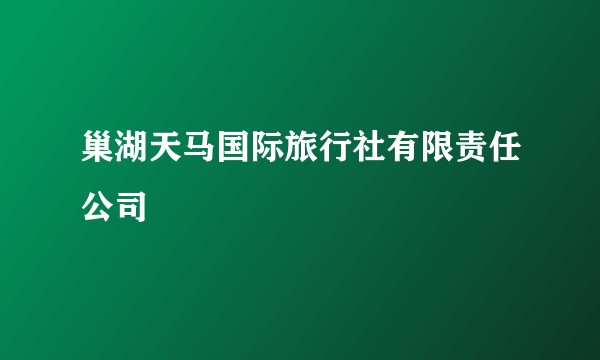 巢湖天马国际旅行社有限责任公司