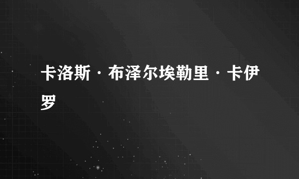 卡洛斯·布泽尔埃勒里·卡伊罗