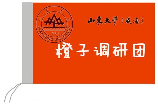 橙子调研团