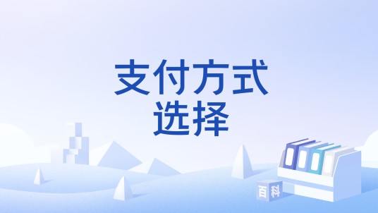 支付方式选择