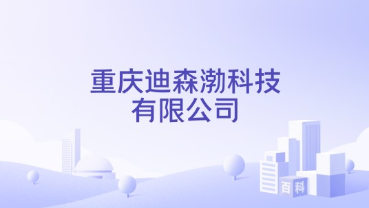 重庆迪森渤科技有限公司