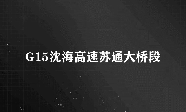 G15沈海高速苏通大桥段