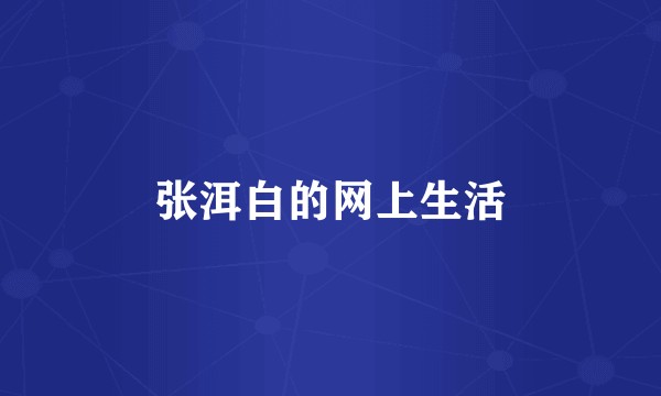 张洱白的网上生活