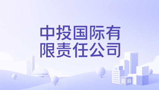 中投国际有限责任公司