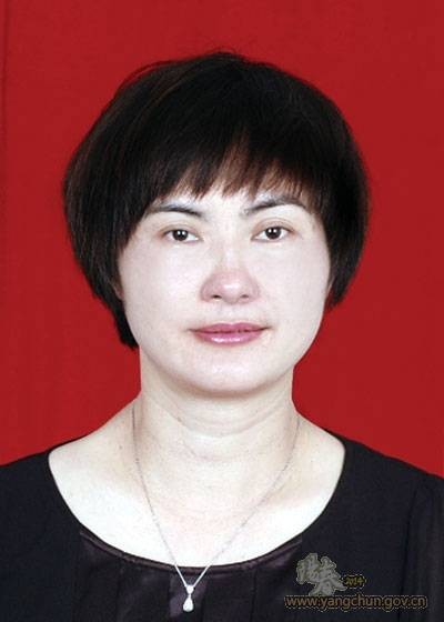 何梅（广东省阳春市人民政府原副市长）