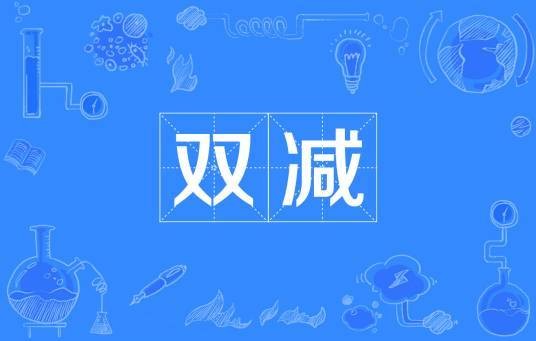 双减（网络流行语）