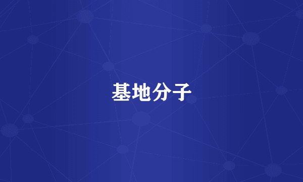 基地分子