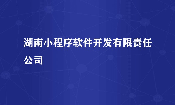 湖南小程序软件开发有限责任公司