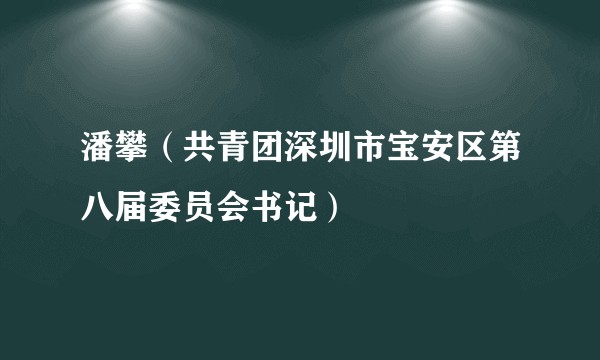 潘攀（共青团深圳市宝安区第八届委员会书记）